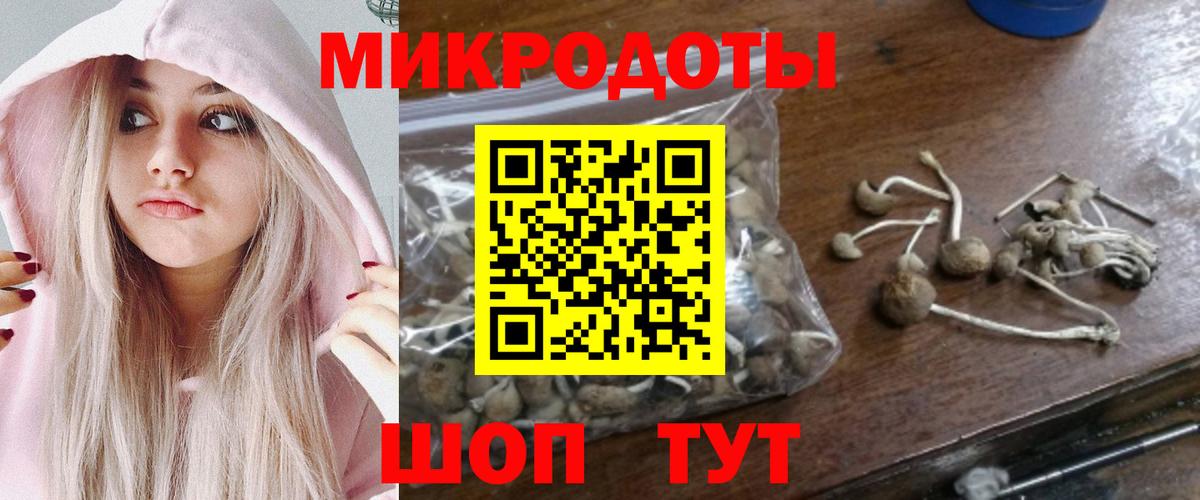 Черкесск  Галлюциногенные грибы MAGIC MUSHROOMS  Вход с VPN 